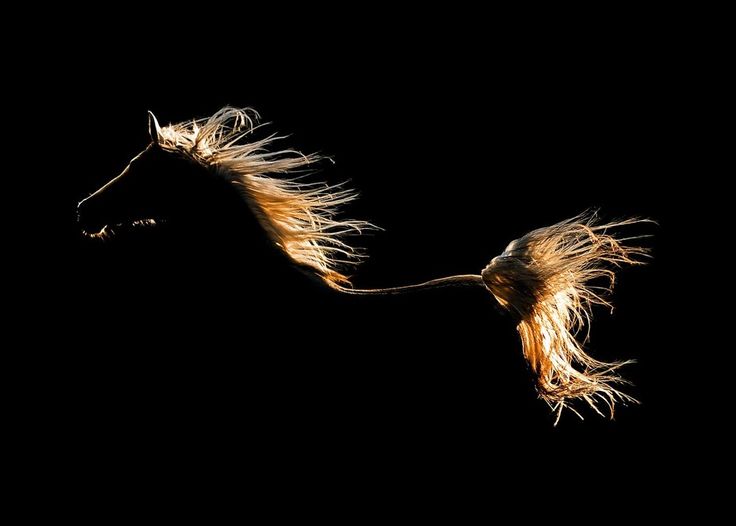 Libertatea este o alegere.